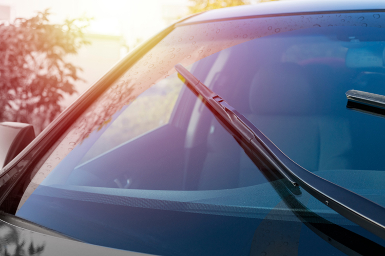 Windscreen project